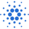 ADA icon