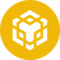 BNB icon